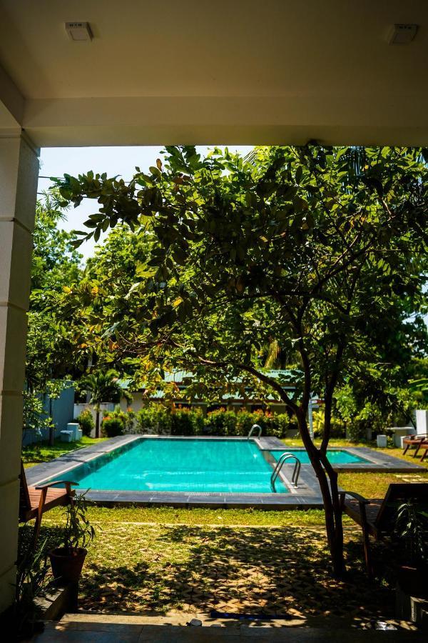 Sigiri Sierra View Resort Sigirija Zewnętrze zdjęcie