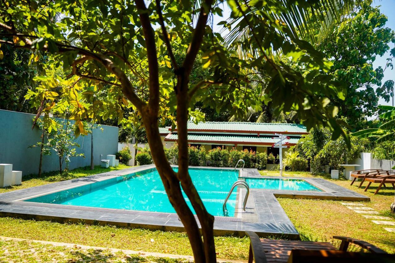 Sigiri Sierra View Resort Sigirija Zewnętrze zdjęcie